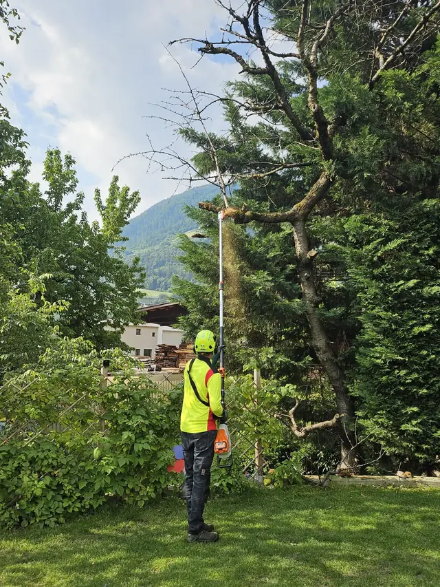 Operatore con dispositivi di sicurezza al lavoro su un albero alto