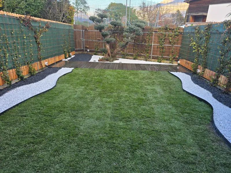 Giardino finito con prato, bordi curvi in ghiaia e albero ornamentale