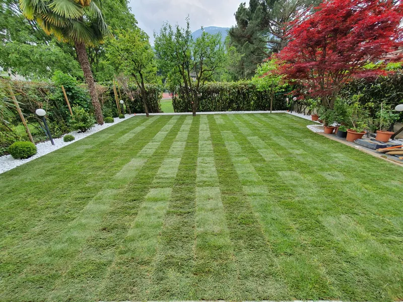 The same garden with a new lawn and white gravel borders