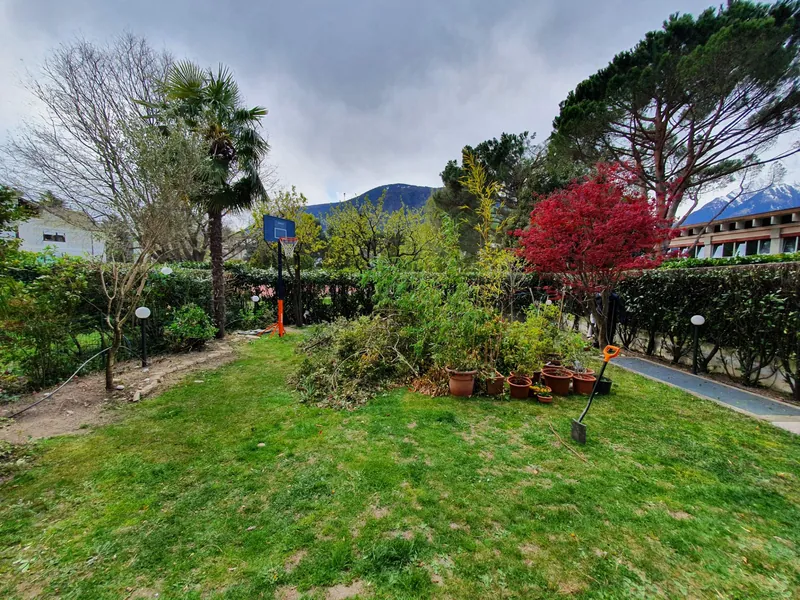 Overgrown garden with piled-up branches and a worn lawn