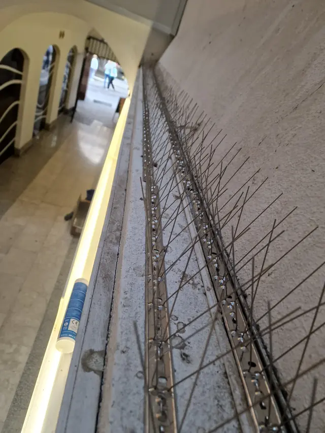 The same ledge cleaned, with pigeon spikes