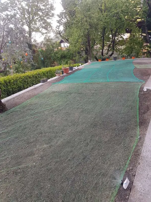 Newly seeded lawn under a protective net, still bare