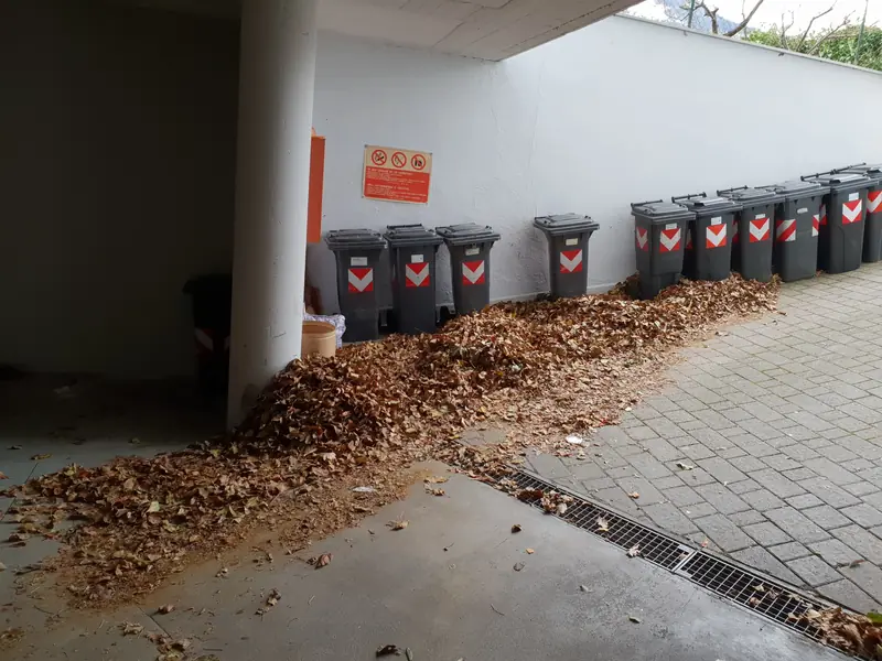 Rampa esterna coperta di foglie prima della pulizia
