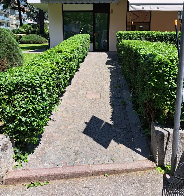 The same hedges trimmed, with the path clear