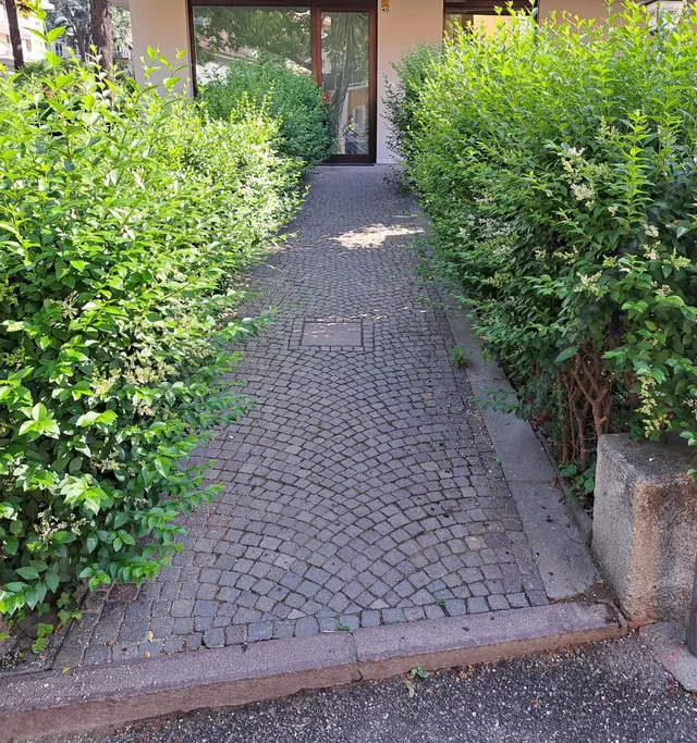 Overgrown hedges spilling onto the entrance path